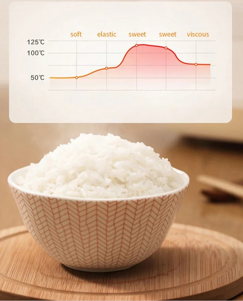 طباخ أرز كهربائي صغير 220 فولت مع قابس الاتحاد الأوروبي - جهاز طهي متعدد الوظائف بتصميم عصري